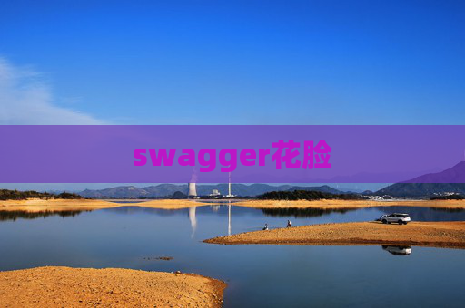 swagger花脸 swagger花脸