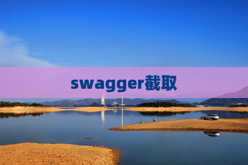 swagger截取